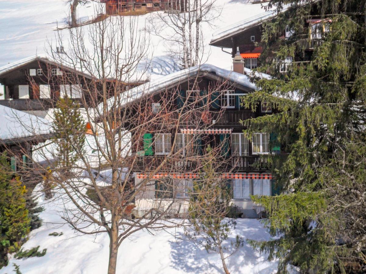 Apartment Chalet Spassvogel By Interhome Grindelwald Dış mekan fotoğraf