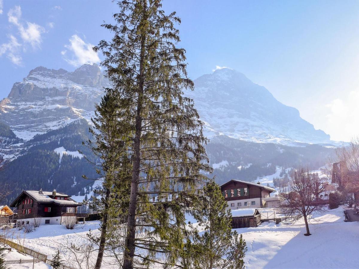 Apartment Chalet Spassvogel By Interhome Grindelwald Dış mekan fotoğraf