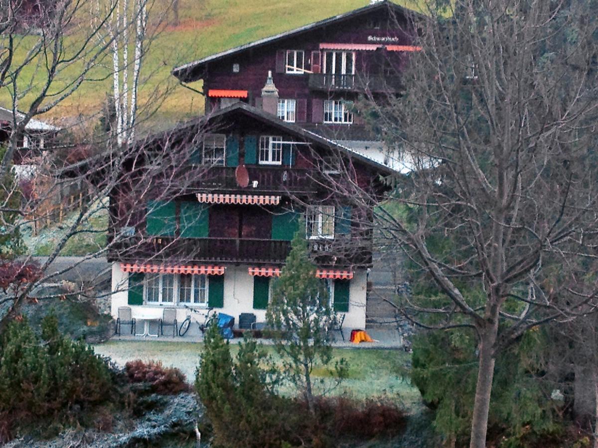 Apartment Chalet Spassvogel By Interhome Grindelwald Dış mekan fotoğraf