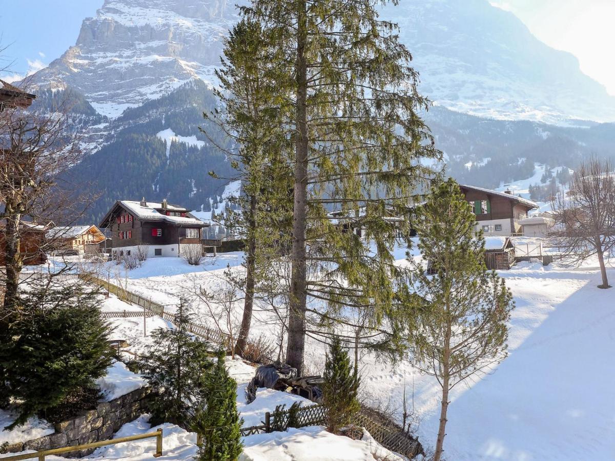 Apartment Chalet Spassvogel By Interhome Grindelwald Dış mekan fotoğraf