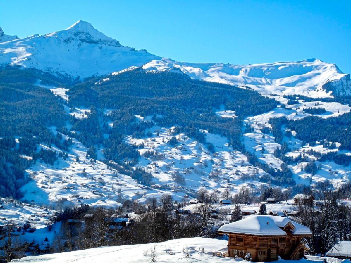 Apartment Chalet Spassvogel By Interhome Grindelwald Dış mekan fotoğraf